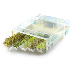 EasyGreen Sprouter