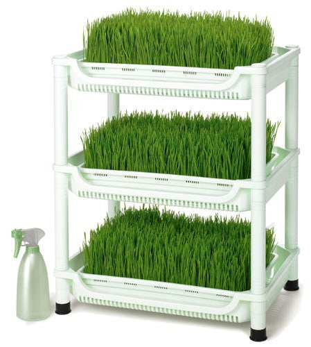 Sproutman's Soil-Less WHEATGRASS GROWER