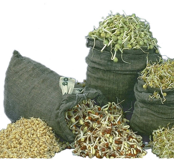 Sproutman's 100% Natural Hemp Sprout Bag